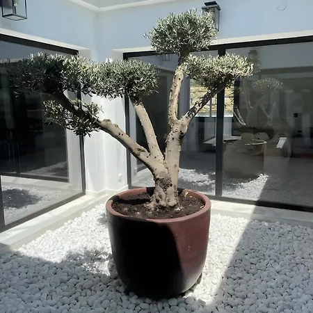 Villa Casa Mimoza Mijas